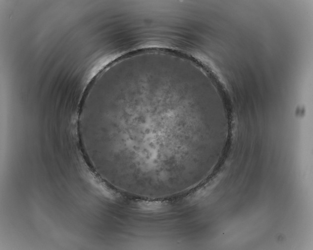 X0000091061121200708061236