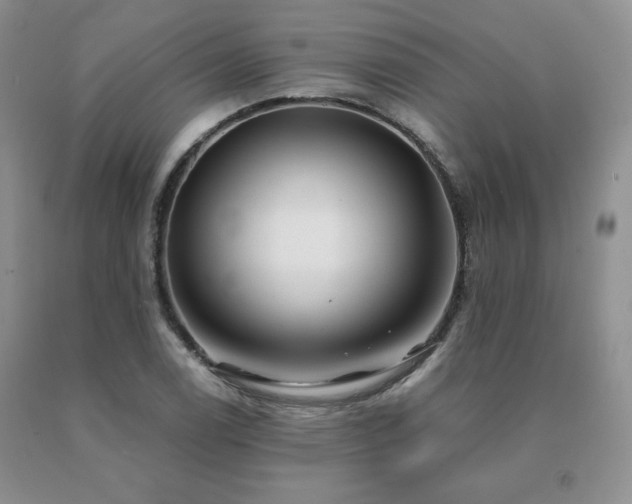 X0000091061122200708061236