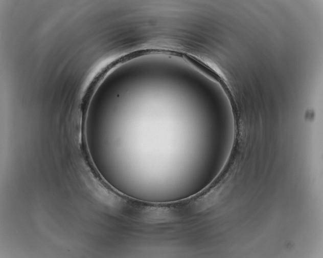 X0000091061123200708061236