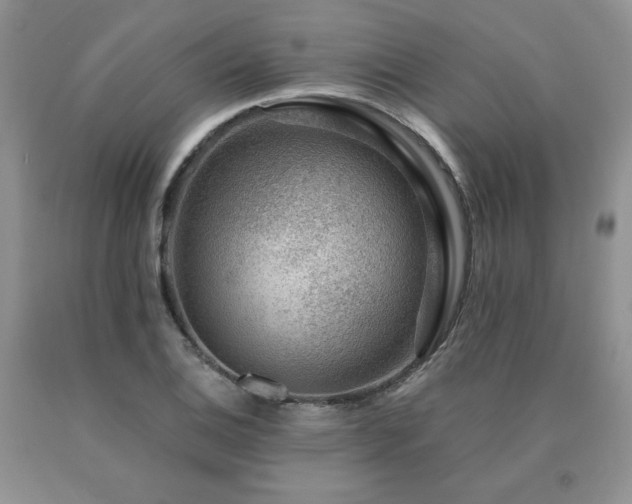 X0000091061124200708061236
