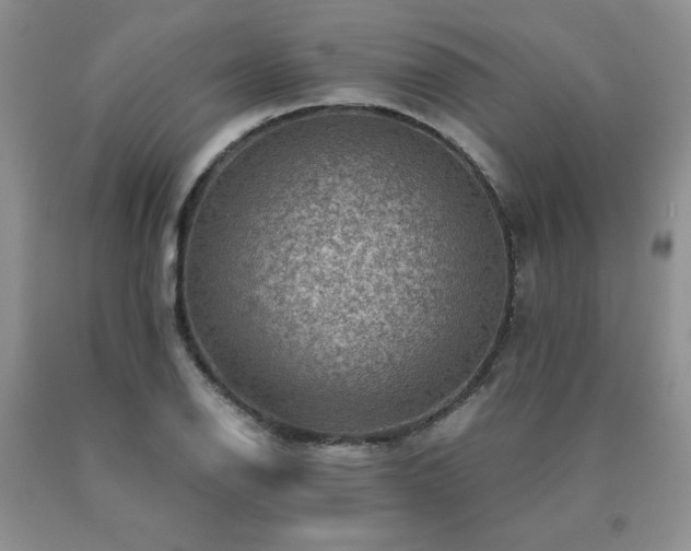 X0000091061126200708061236