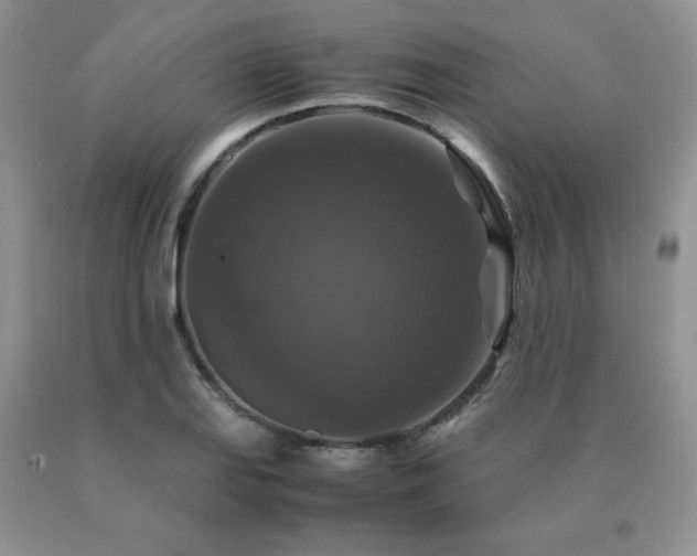 X0000091061127200708061236