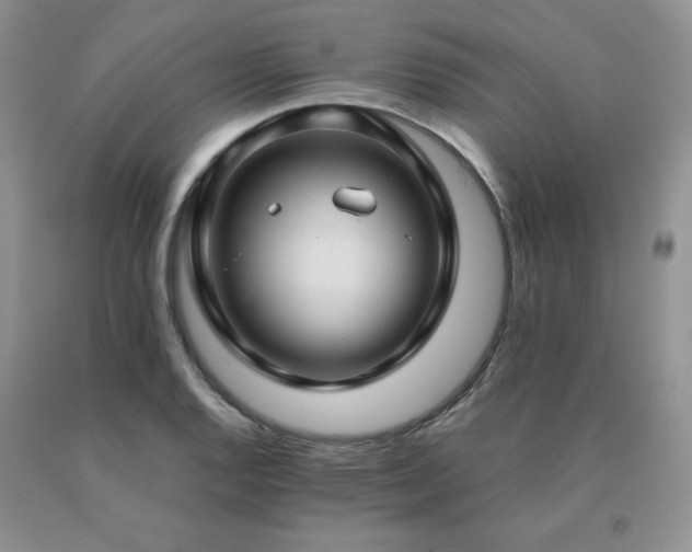 X0000091061128200708061236