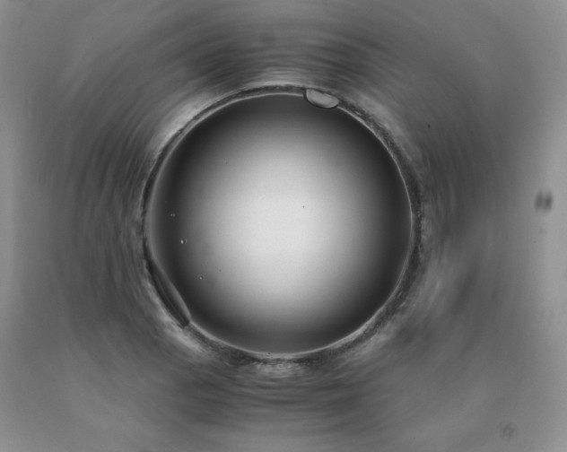 X0000091061129200708061236