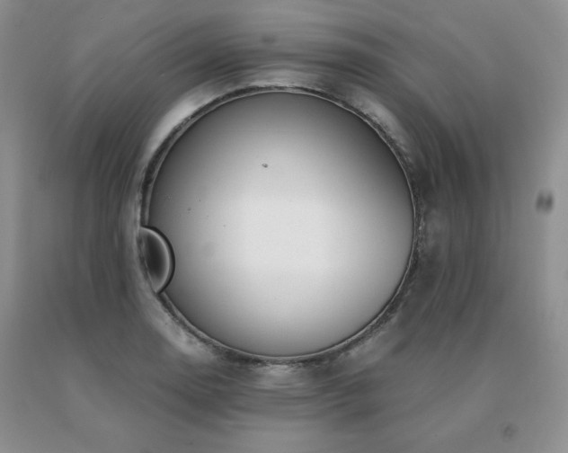 X0000091061130200708061236