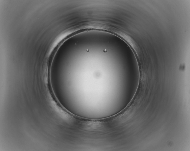 X0000091061131200708061236