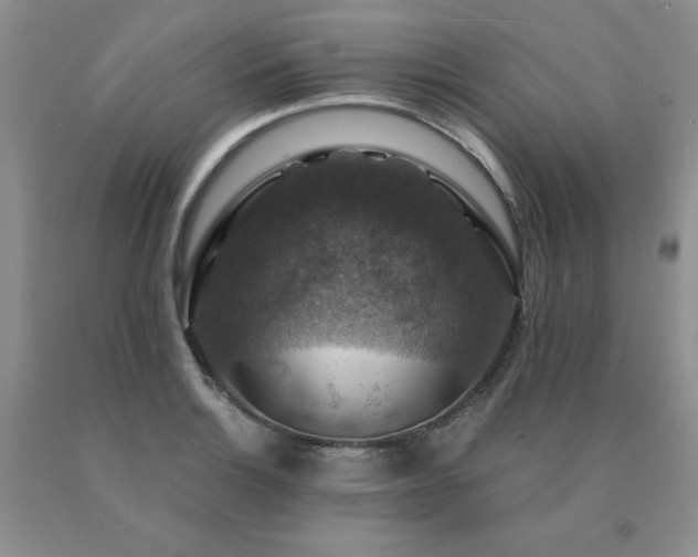 X0000091061132200708061236