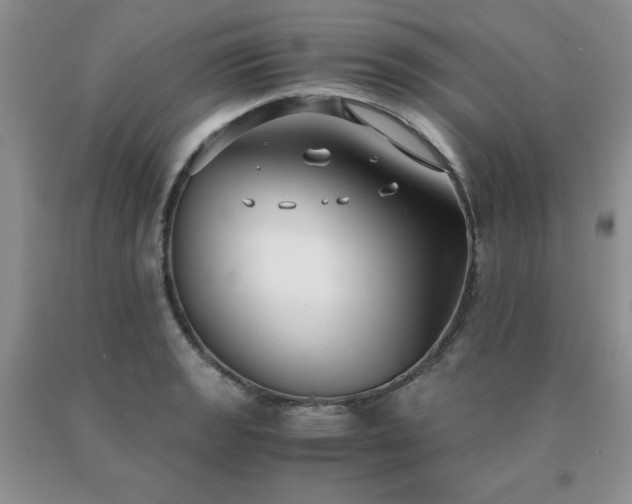 X0000091061133200708061236