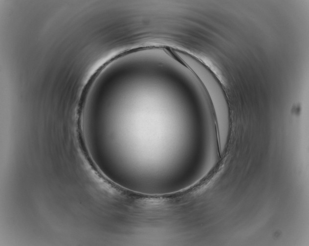 X0000091061134200708061237