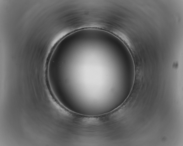 X0000091061135200708061237