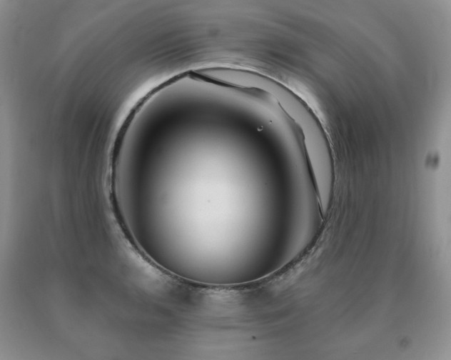 X0000091061136200708061237