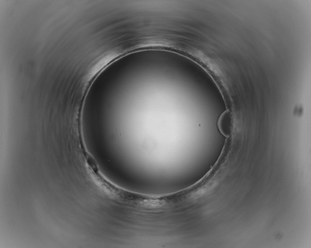 X0000091061137200708061237