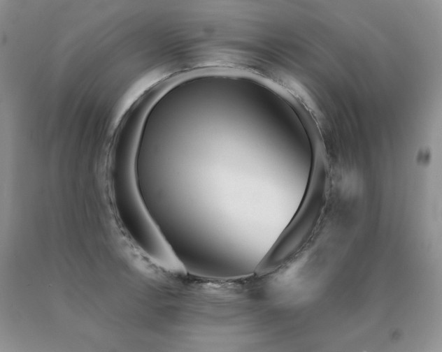 X0000091061138200708061237