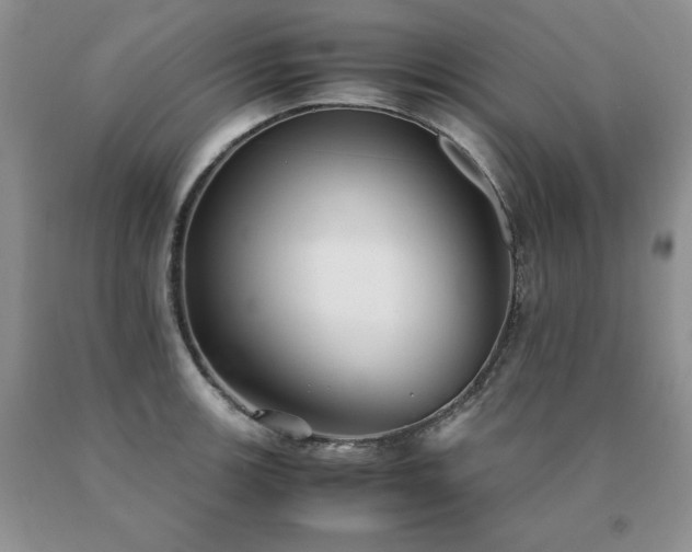 X0000091061139200708061237