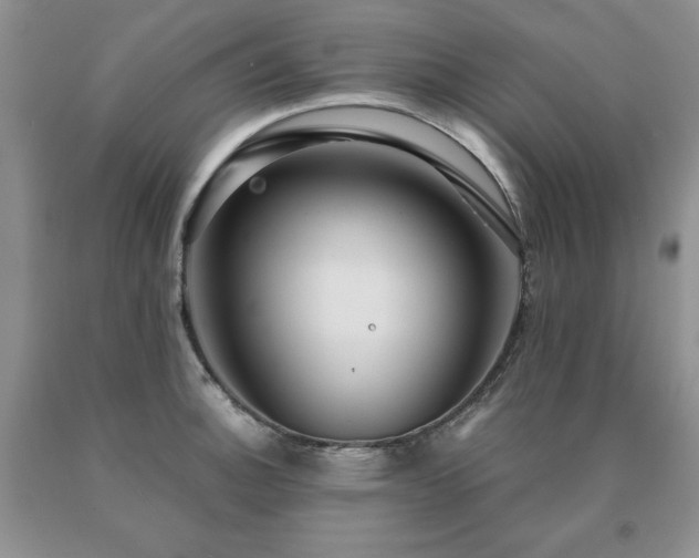 X0000091061140200708061237