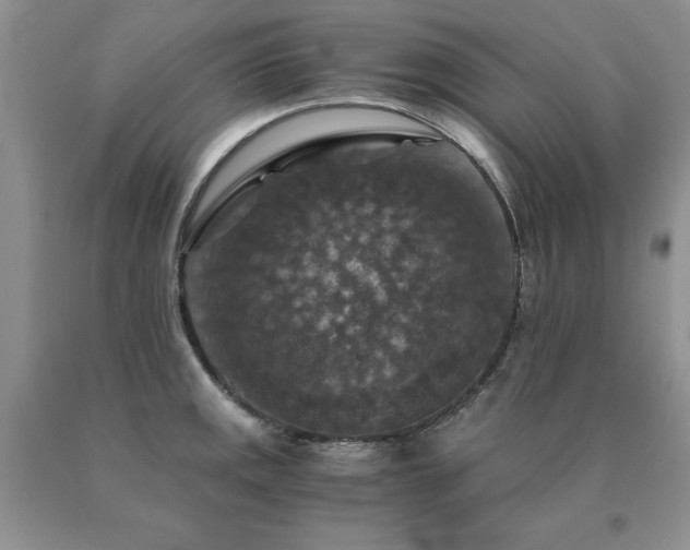 X0000091061141200708061237