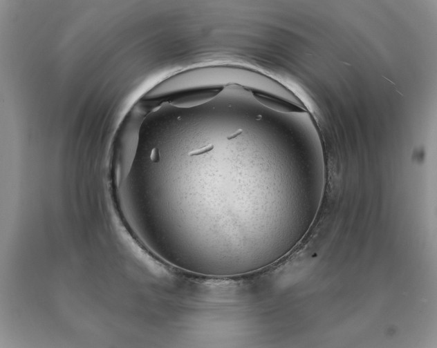 X0000091061142200708061237