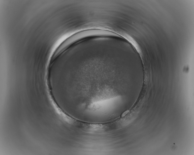 X0000091061144200708061237