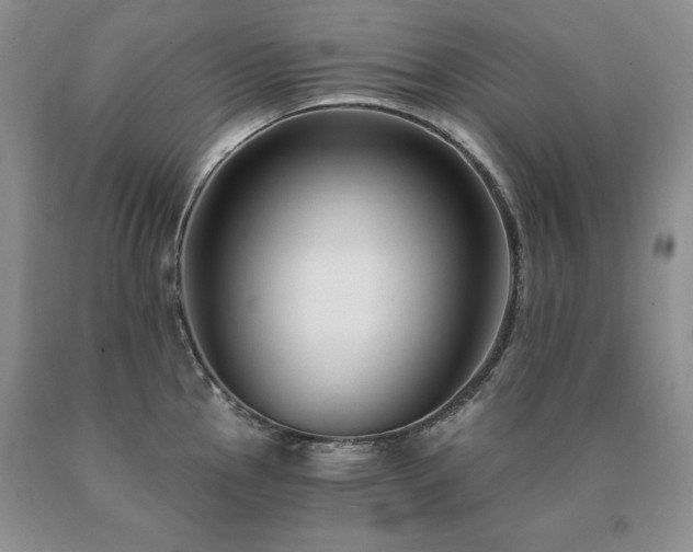 X0000091061145200708061237