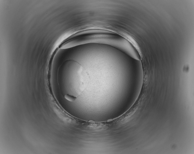 X0000091061146200708061237