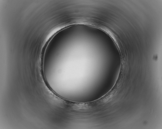 X0000091061147200708061237