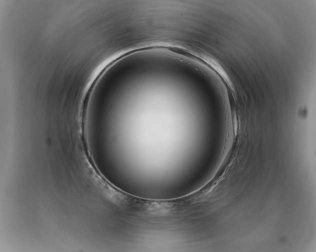 X0000091061148200708061237