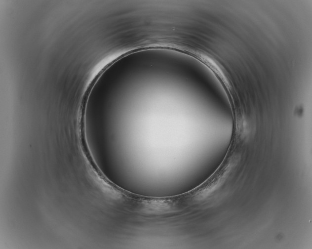 X0000091061149200708061237