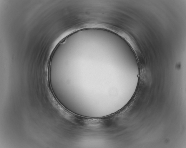 X0000091061150200708061237