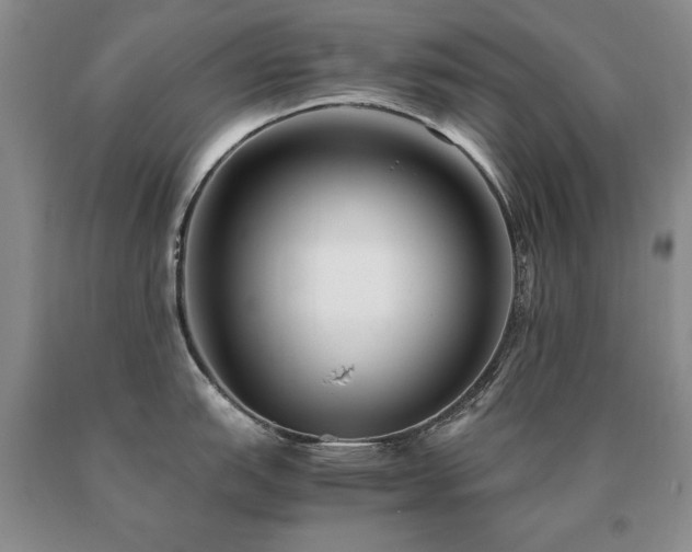 X0000091061151200708061237