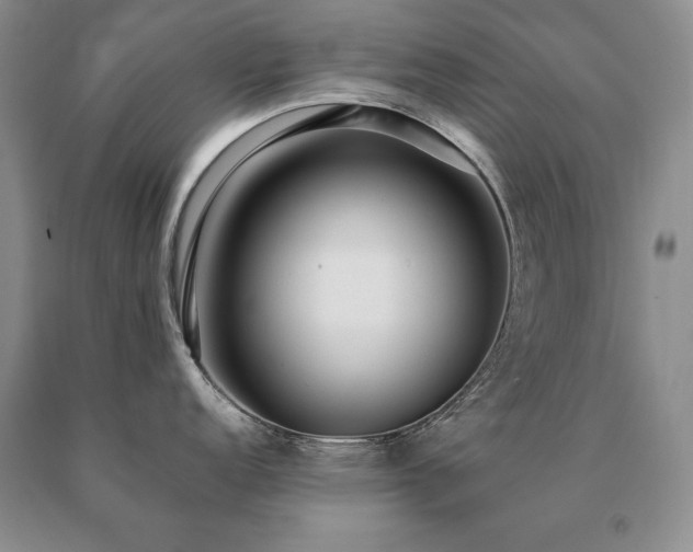 X0000091061152200708061237