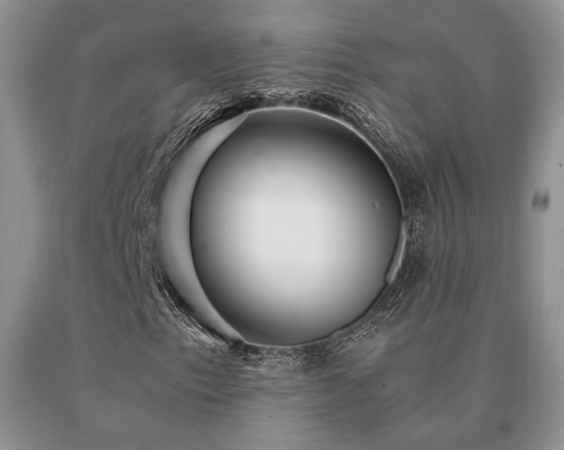 X0000091061153200708061236