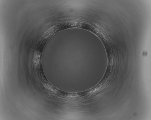 X0000091061154200708061236
