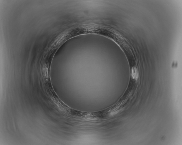 X0000091061155200708061236