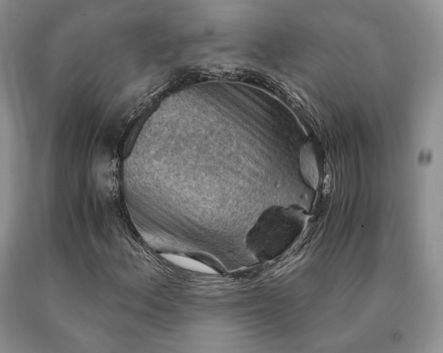 X0000091061156200708061236