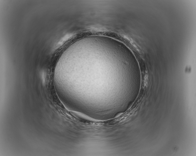 X0000091061157200708061236
