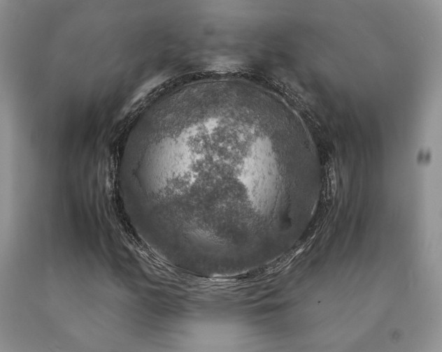 X0000091061158200708061236