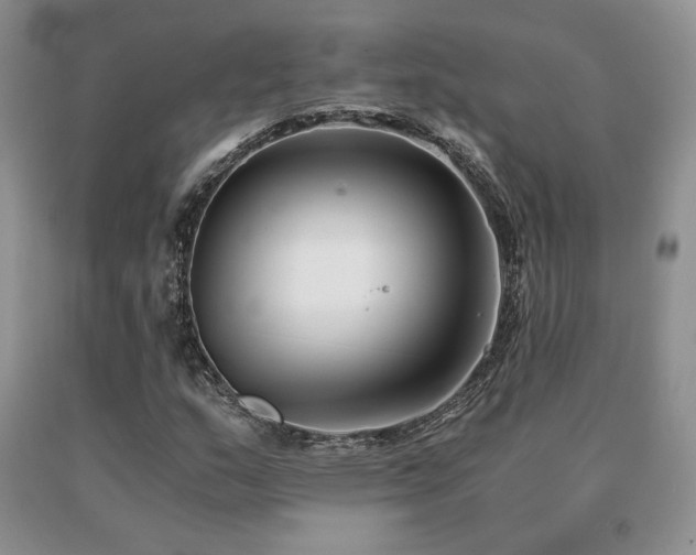 X0000091061159200708061236