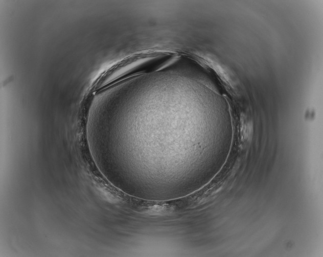 X0000091061160200708061236
