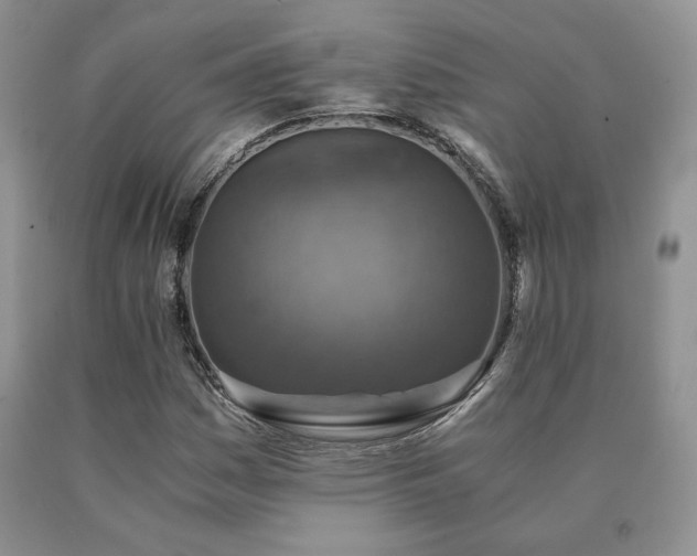 X0000091061161200708061236
