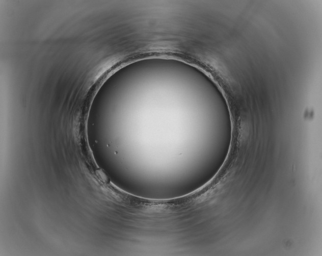 X0000091061162200708061236
