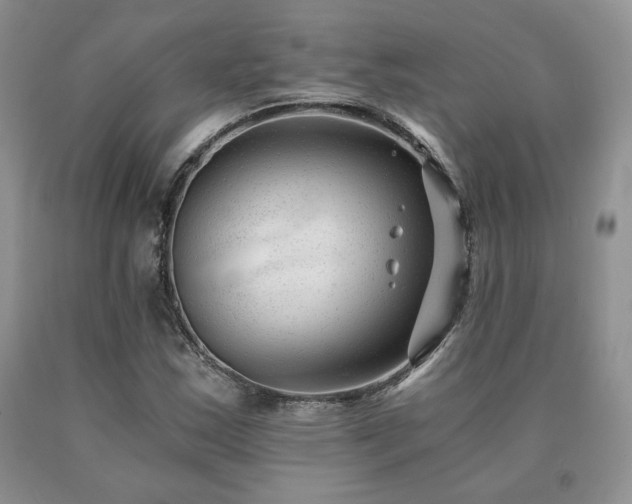 X0000091061163200708061236