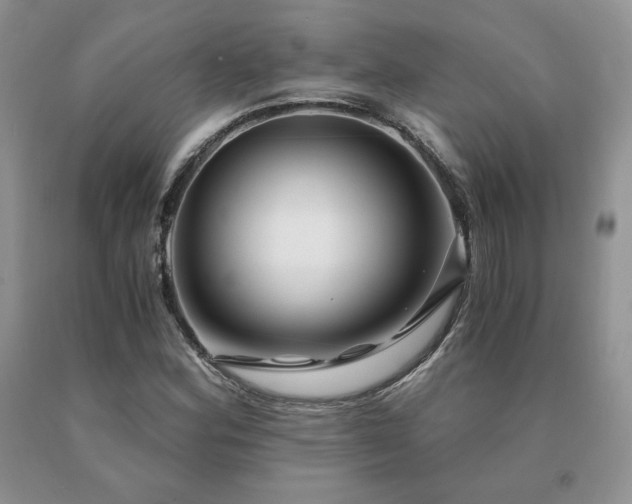 X0000091061164200708061236