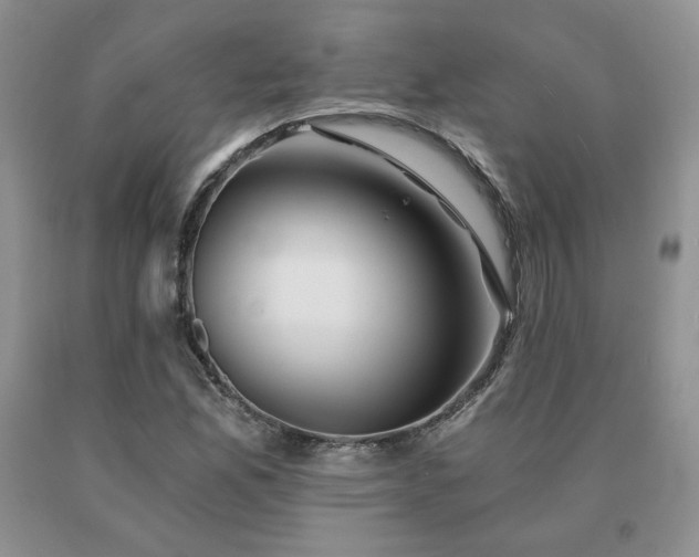 X0000091061165200708061236