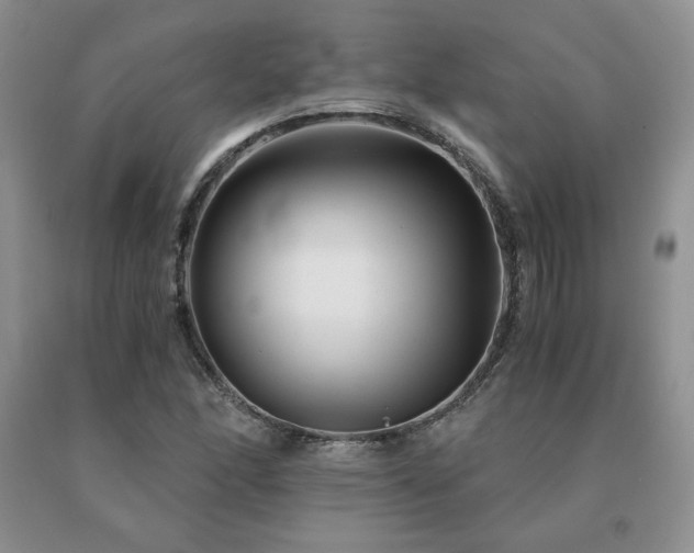 X0000091061166200708061236
