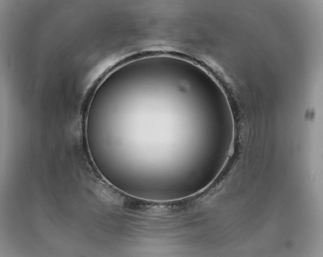 X0000091061167200708061236