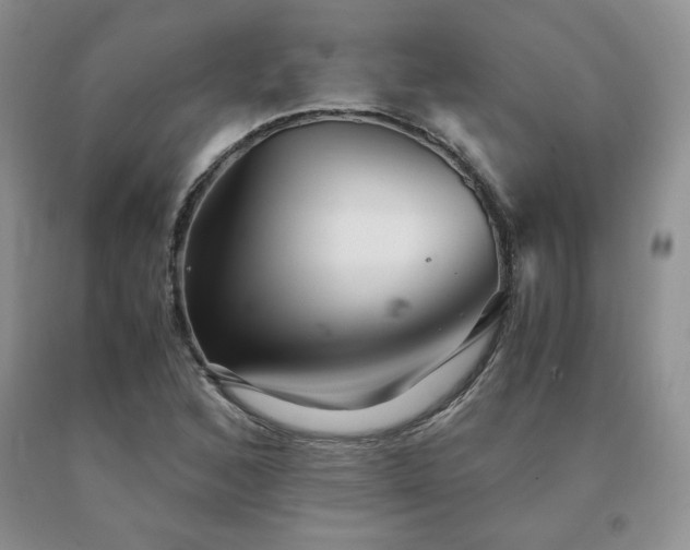 X0000091061168200708061236
