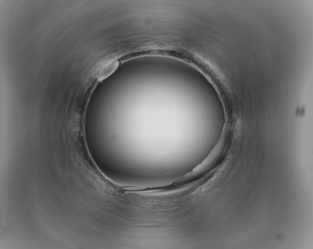 X0000091061169200708061236