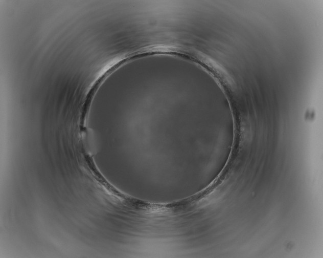X0000091061170200708061236