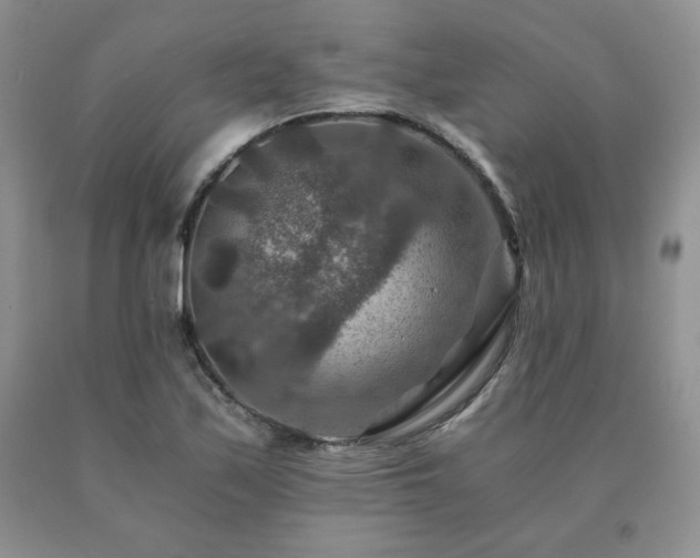 X0000091061171200708061236