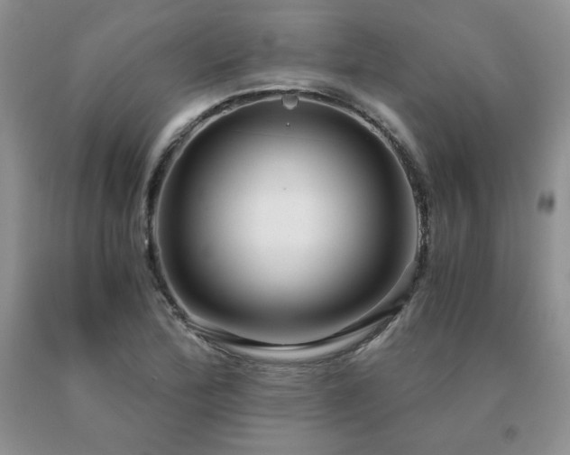 X0000091061172200708061236